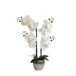 AA14071 orchid 71CM