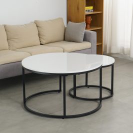 CAN08585